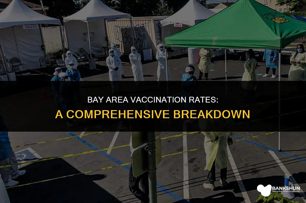 what percent of bay area is vaccinated