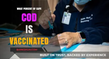 Cape Cod's Vaccination Progress: A Comprehensive Update