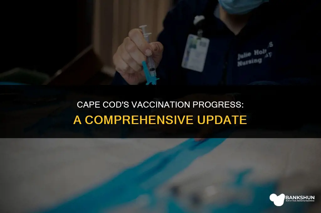 what percent of cape cod is vaccinated