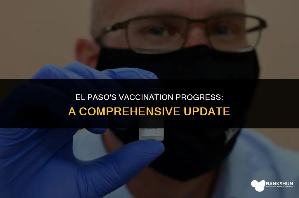 what percent of el paso is vaccinated