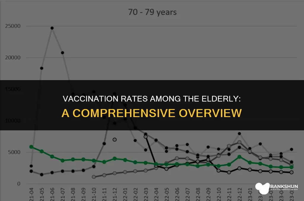 what percent of elderly have been vaccinated
