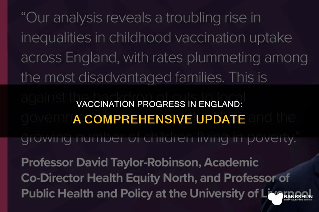 what percent of england has been vaccinated