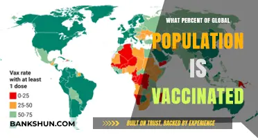 Global Vaccination Progress: A Comprehensive Overview