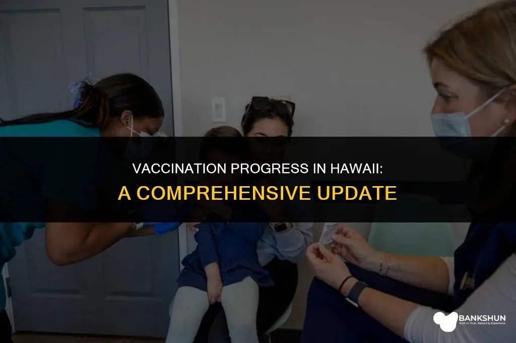 what percent of hawaii has been vaccinated