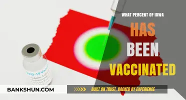 Iowa's Vaccination Progress: A Comprehensive County-by-County Analysis