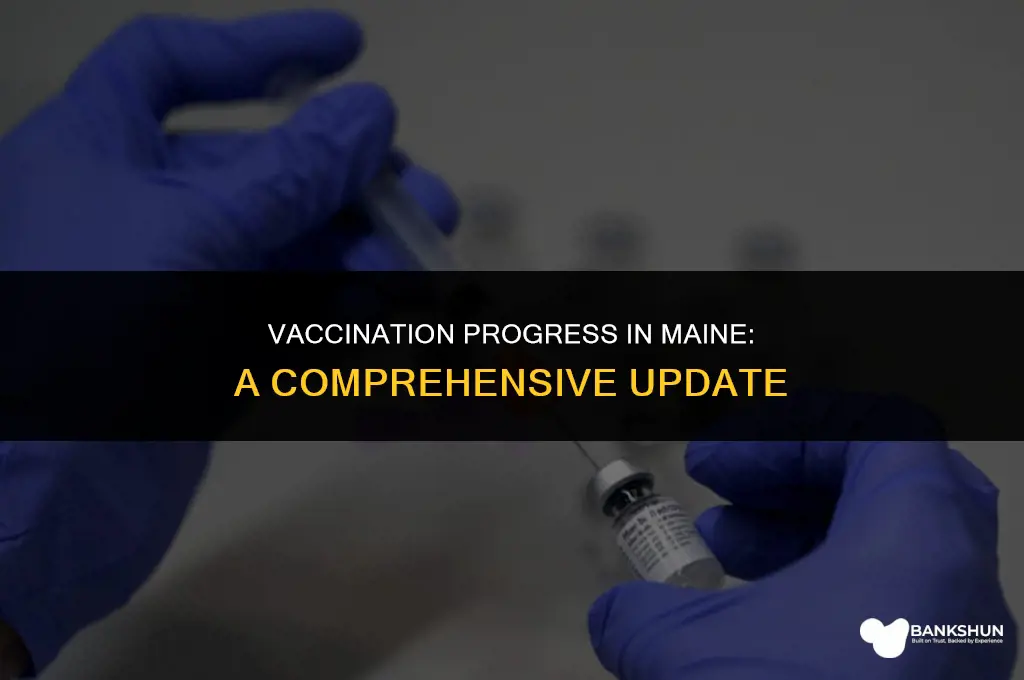 what percent of maine has been vaccinated