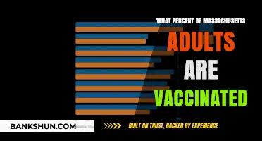 Vaccination Rates in Massachusetts: A Comprehensive Adult Immunization Update