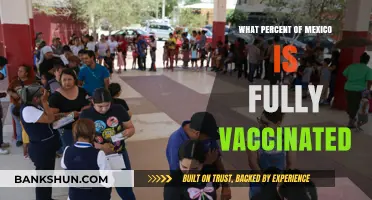 Vaccination Progress in Mexico: A Comprehensive Update