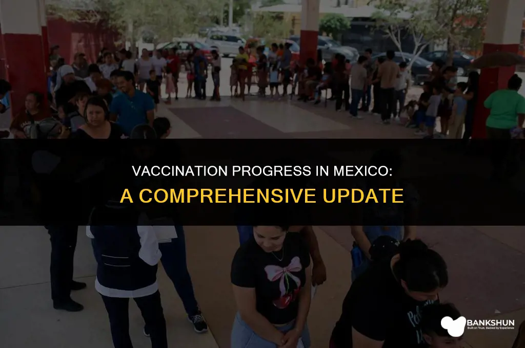 what percent of mexico is fully vaccinated