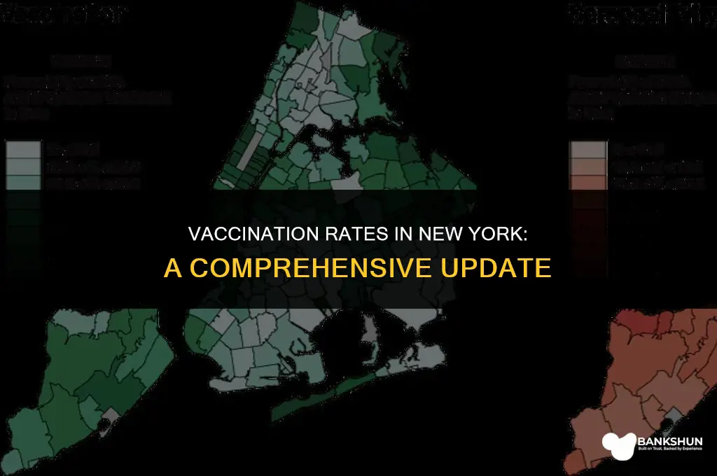 what percent of new york are vaccinated