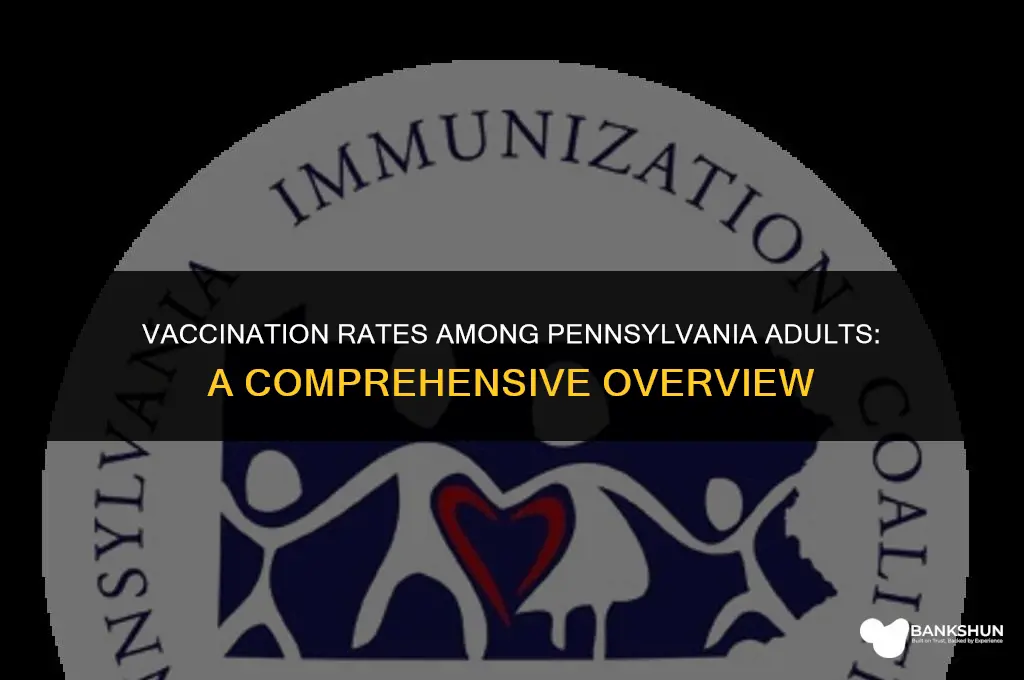 what percent of pennsylvania adults are vaccinated