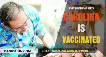 Vaccination Rates in South Carolina: A Comprehensive Overview