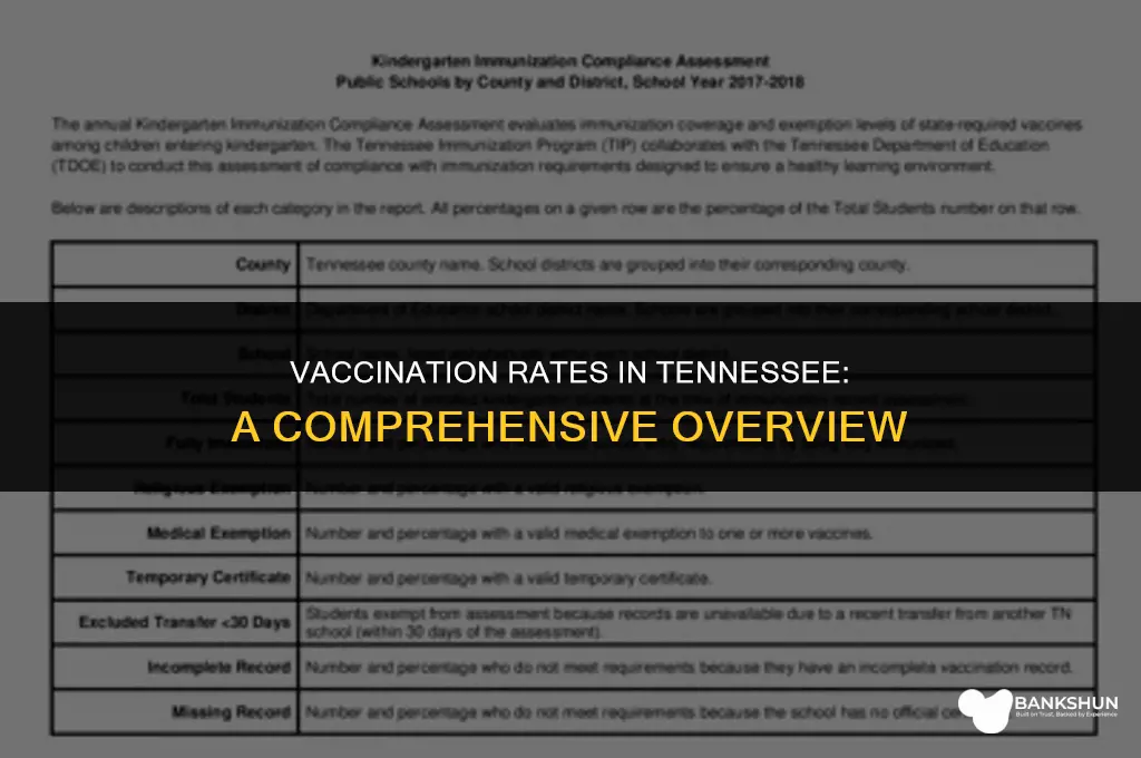 what percent of tennesseans have been vaccinated