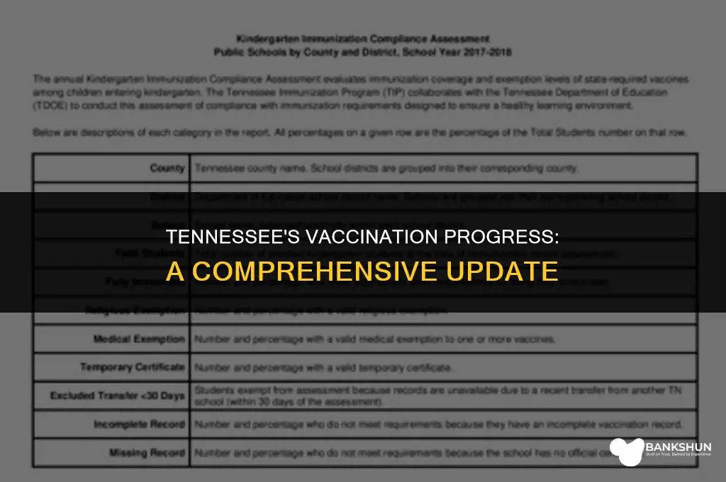 what percent of tennessee has been vaccinated
