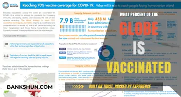 Global Vaccination Progress: A Comprehensive Overview