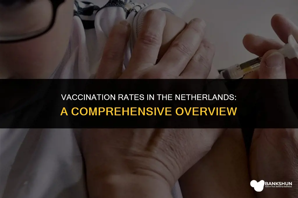 what percent of the netherlands is vaccinated