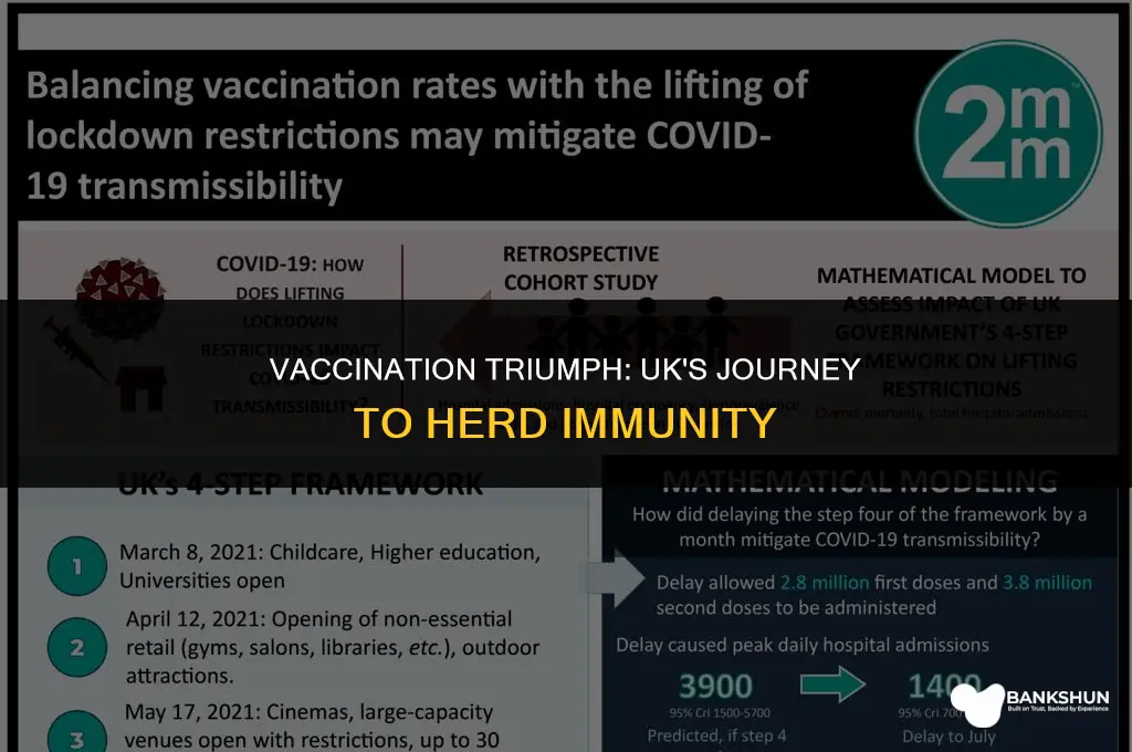 what percent of uk is fully vaccinated
