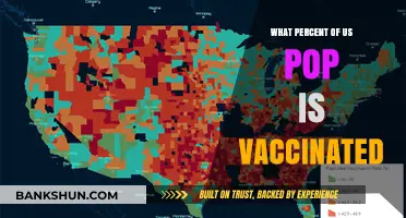 Vaccination Rates in the US: A Comprehensive Overview