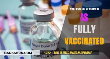 Vermont's Vaccination Victory: A Statewide Immunization Update