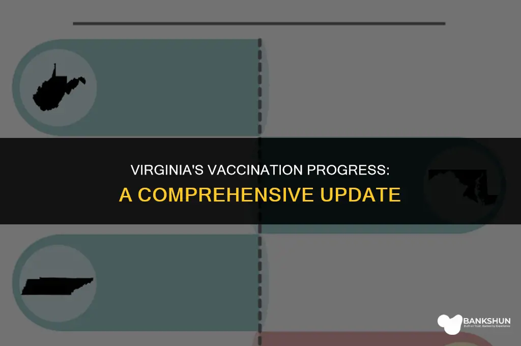 what percent of virginia has been vaccinated