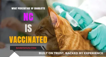 Charlotte's Vaccination Progress: A Comprehensive Update
