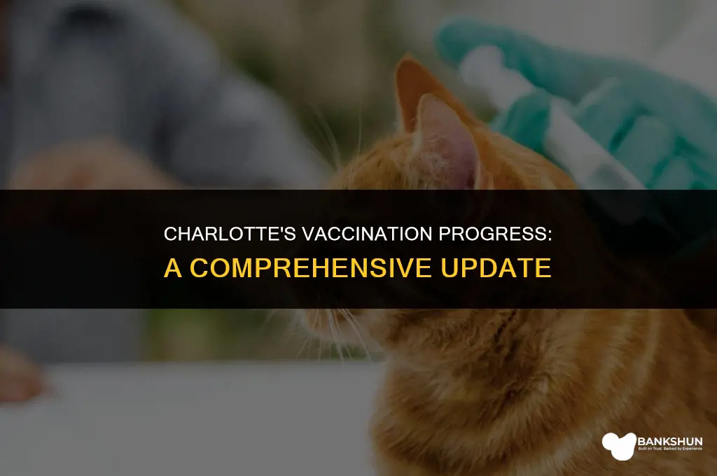 what percentage of charlotte nc is vaccinated