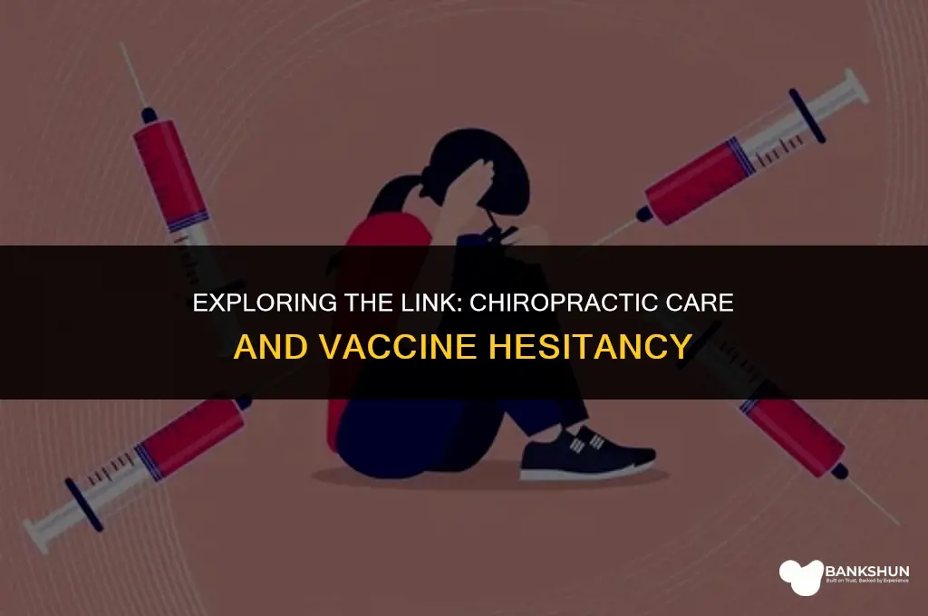 what percentage of chiropractors are anti vaccine