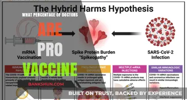 Pro-Vaccine Stance Among Doctors: A Statistical Insight