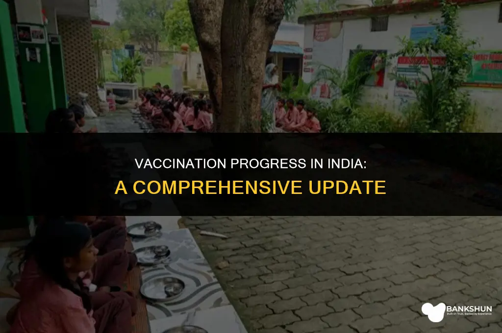 what percentage of indians have been vaccinated