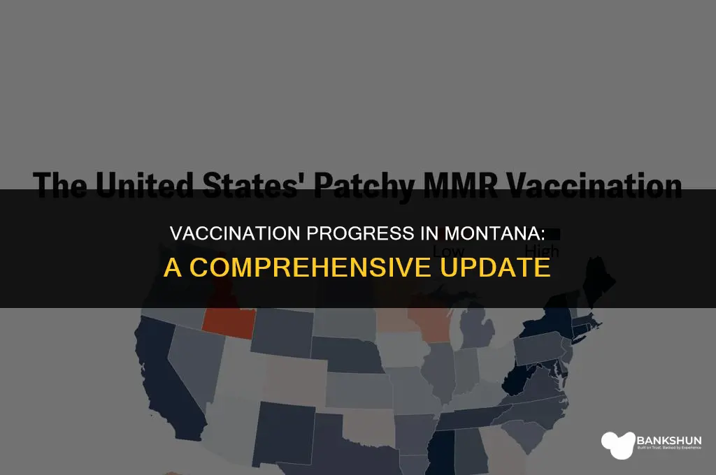 what percentage of montana has been vaccinated