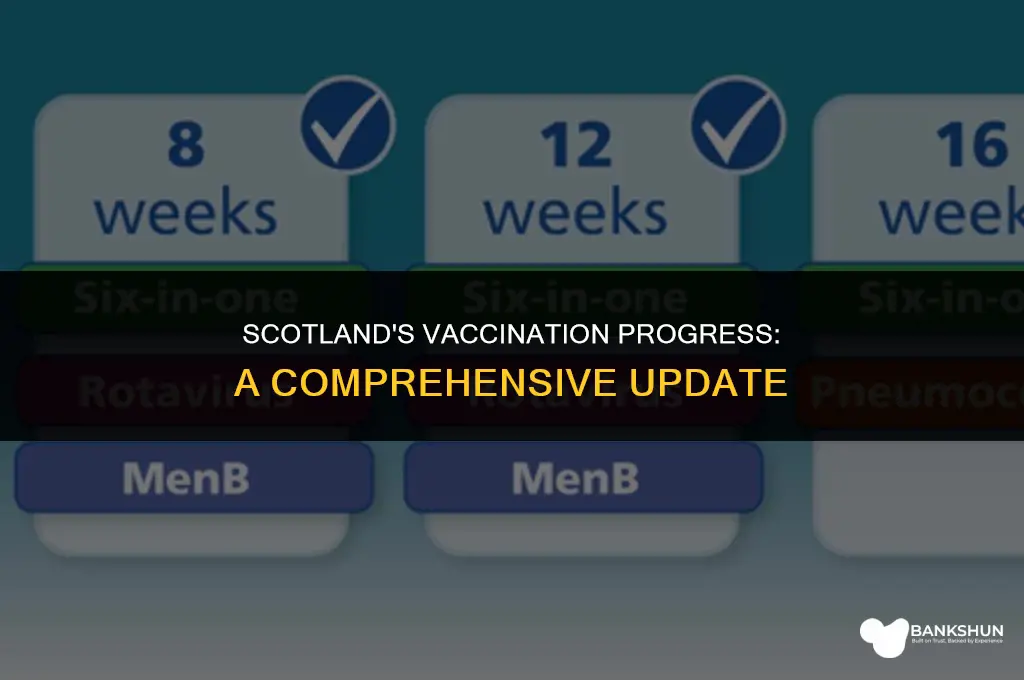 what percentage of scotland is fully vaccinated