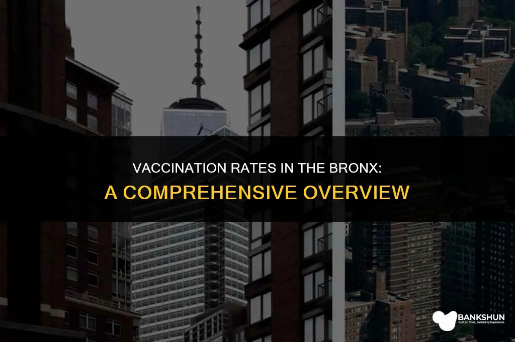 what percentage of the bronx is vaccinated
