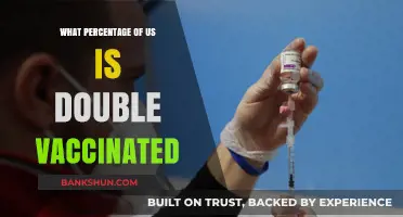 Double Vaccination Rates in the US: A Comprehensive Overview