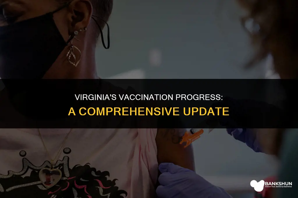 what percentage of va has been vaccinated