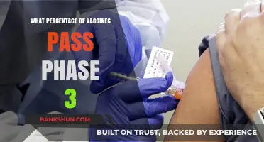 Decoding Vaccine Success: The Phase 3 Clinical Trial Benchmark