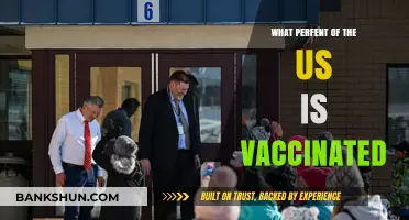 Vaccination Rates in the US: A Comprehensive Overview