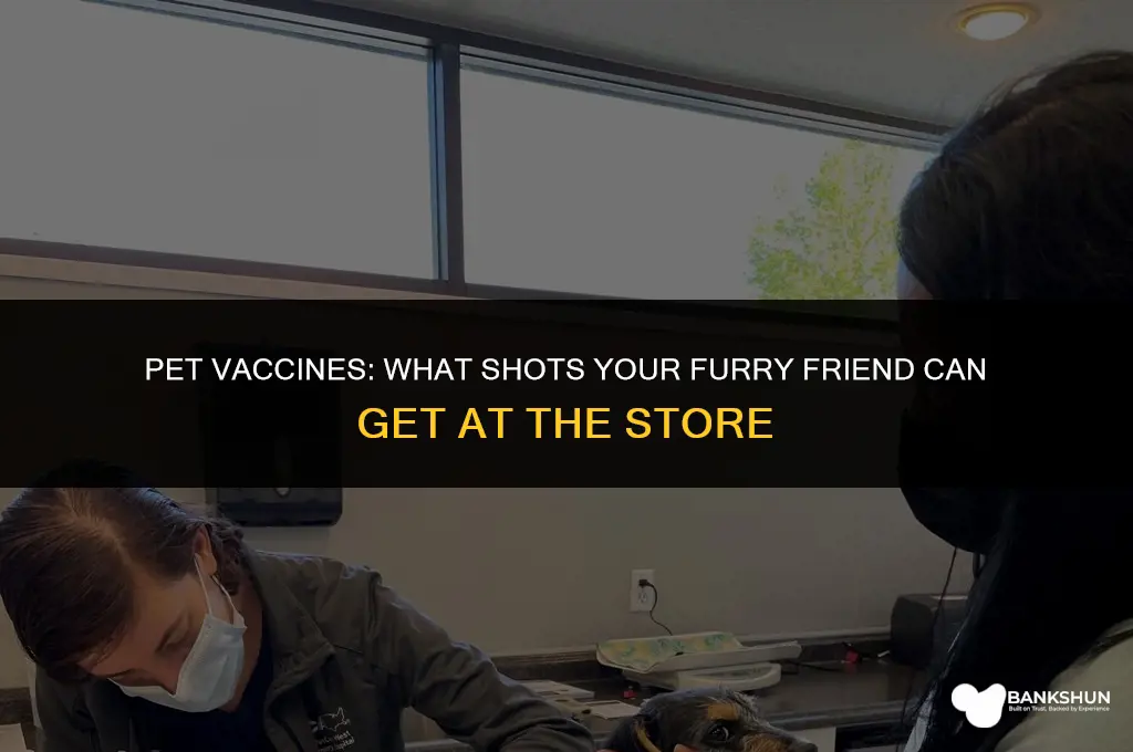 what pet vaccines they offer outside store