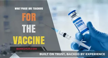 Vaccine Rollout: Understanding the Current Phase for Teachers