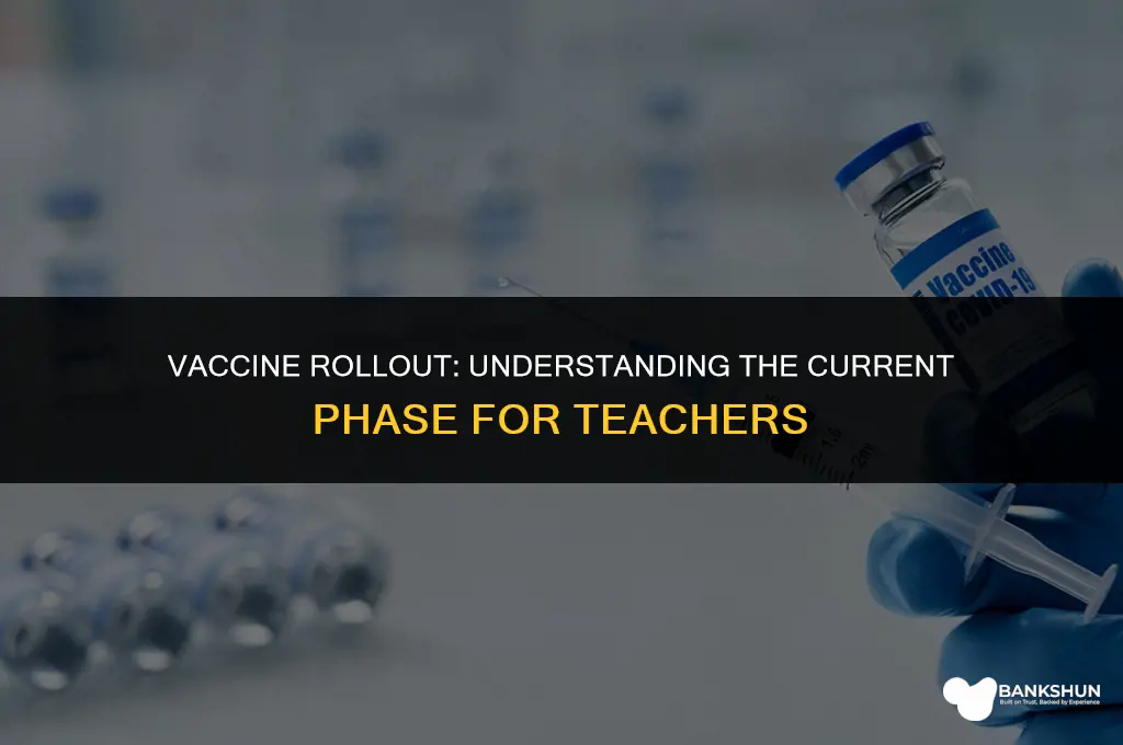 what phase are teachers for the vaccine