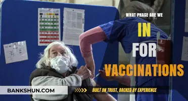 Vaccination Progress: Current Phase and Future Outlook