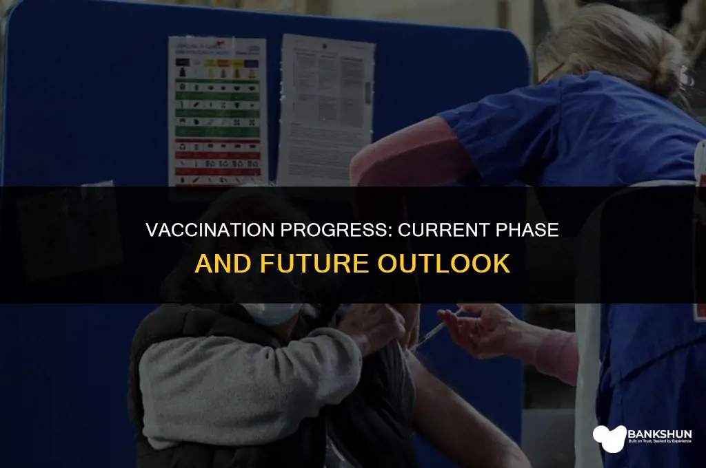 what phase are we in for vaccinations