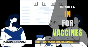 Vaccination Phases in New Jersey: A Comprehensive Guide