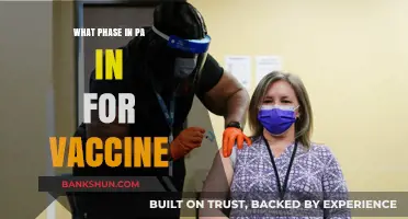 Decoding Pennsylvania's Vaccine Rollout Phases: A Comprehensive Guide