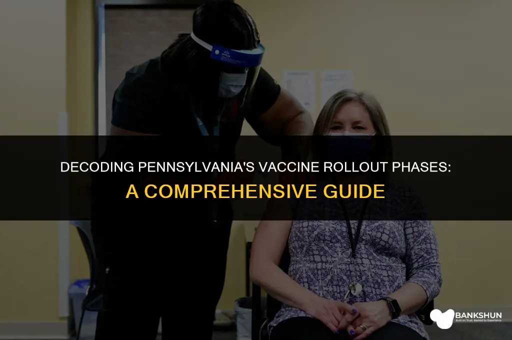 what phase in pa in for vaccine