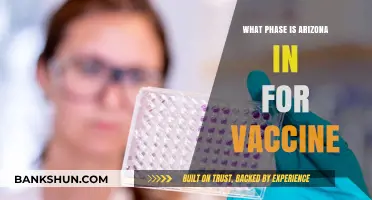 Arizona's Vaccine Rollout: Understanding the Current Phase and Timeline