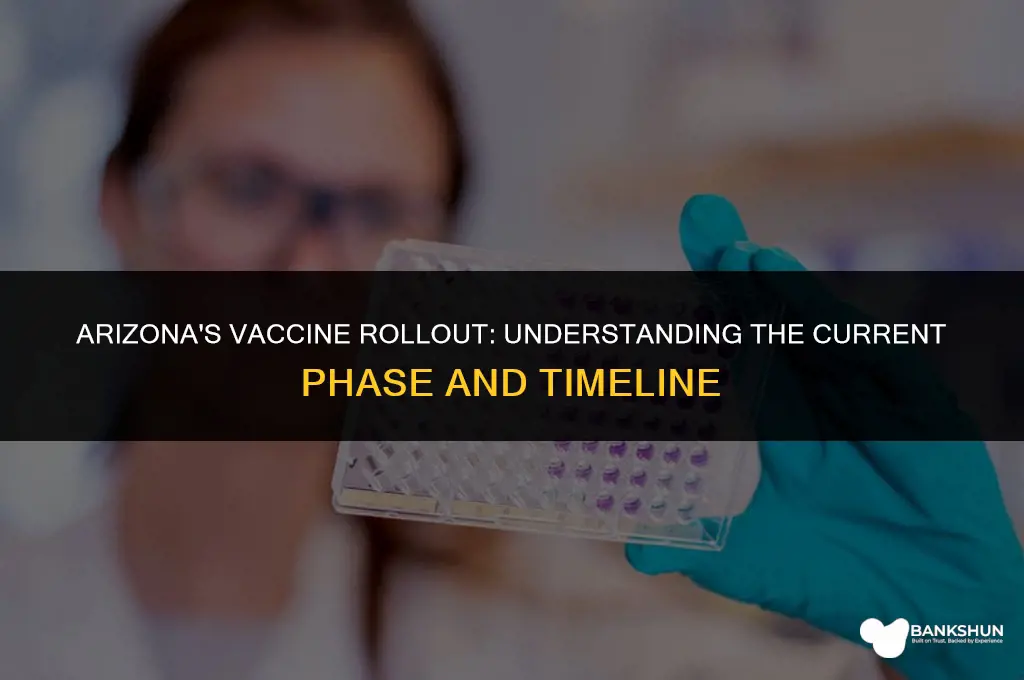 what phase is arizona in for vaccine