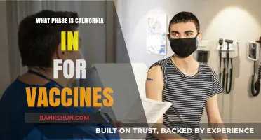 California's Vaccine Rollout: Understanding the Current Phase