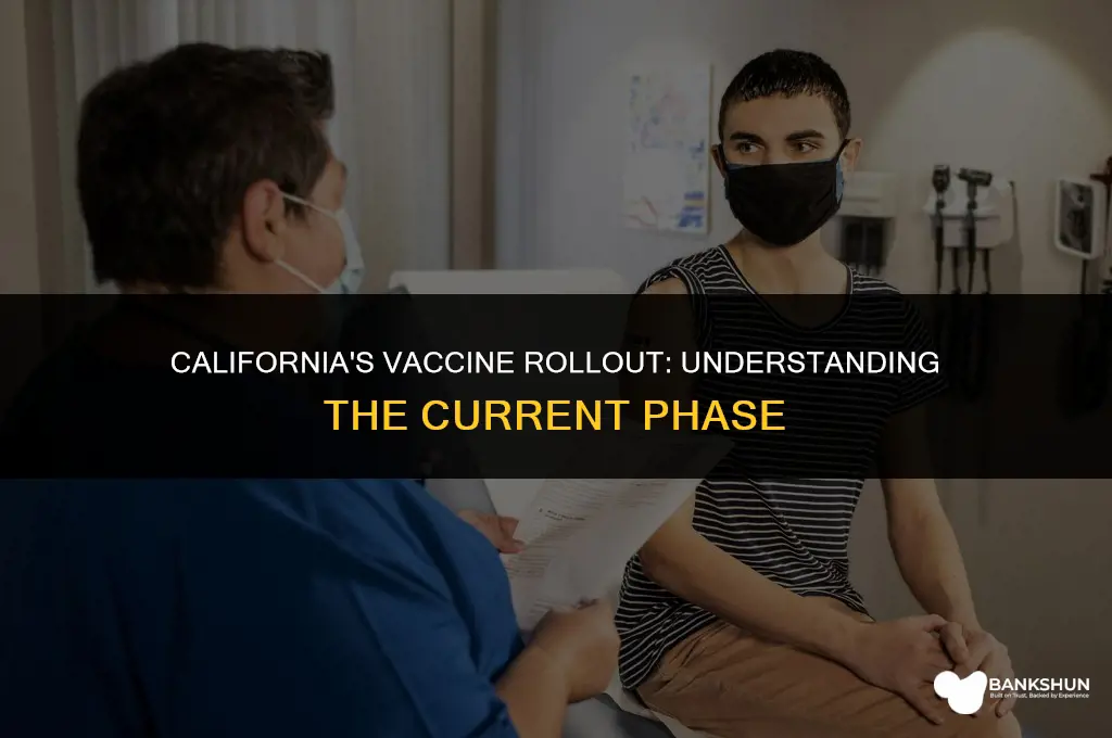 what phase is california in for vaccines