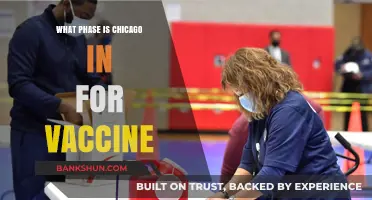 Chicago's Vaccine Rollout: Understanding the Current Phase