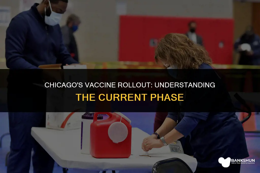 what phase is chicago in for vaccine